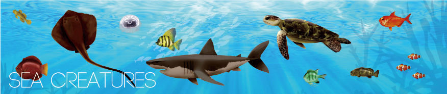 海の生き物のイラスト
