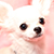 img-avatar