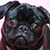 img-avatar